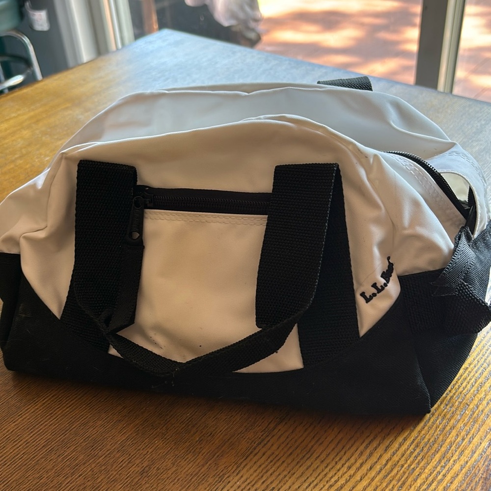 Shower bag. LL Bean. Used but will clean up once it’s wiped down.